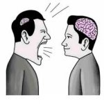 small brain vs big brain