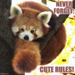 Red Pandaball | NEVER FORGET:; CUTE RULES! | image tagged in ball o' cute | made w/ Imgflip meme maker