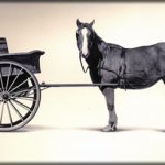 Cart no front of the hirse