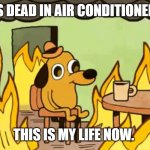 Dog in fire | BATTERIES DEAD IN AIR CONDITIONER REMOTE. THIS IS MY LIFE NOW. | image tagged in dog in fire | made w/ Imgflip meme maker