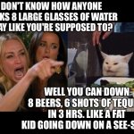 Woman yelling at cat | I DON'T KNOW HOW ANYONE DRINKS 8 LARGE GLASSES OF WATER A DAY LIKE YOU'RE SUPPOSED TO? WELL YOU CAN DOWN 8 BEERS, 6 SHOTS OF TEQUILA IN 3 HRS. LIKE A FAT KID GOING DOWN ON A SEE-SAW! | image tagged in girl screaming at cat | made w/ Imgflip meme maker