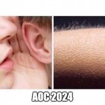 Goosebumps | AOC 2024 | image tagged in goosebumps | made w/ Imgflip meme maker