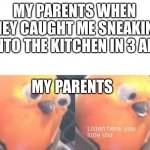 Bird | MY PARENTS WHEN THEY CAUGHT ME SNEAKING INTO THE KITCHEN IN 3 AM; MY PARENTS | image tagged in listen here you little shit | made w/ Imgflip meme maker