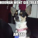 depressed doggo | HOOMAN WONT GIB TREAT; AM SAD | image tagged in depressed doggo,doggo | made w/ Imgflip meme maker