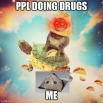cat | PPL DOING DRUGS; ME | image tagged in space pizza cat turtle tacos | made w/ Imgflip meme maker