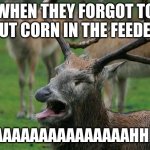 Disgusted Deer | WHEN THEY FORGOT TO PUT CORN IN THE FEEDER; AAAAAAAAAAAAAAAAAAHHHHH! | image tagged in disgusted deer | made w/ Imgflip meme maker