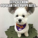 lets see how popular this puppy gets... | LETS SEE HOW POPULAR THIS PUPPY GETS... | image tagged in lets see how popular this puppy gets | made w/ Imgflip meme maker
