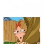 Phineas wtf?