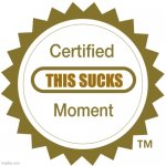 this sucks | THIS SUCKS | image tagged in certified moment | made w/ Imgflip meme maker