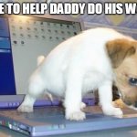 puppy pee laptop | TIME TO HELP DADDY DO HIS WORK | image tagged in puppy pee laptop | made w/ Imgflip meme maker