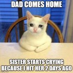 Crying cat on table | DAD COMES HOME; SISTER STARTS CRYING BECAUSE I HIT HER 2 DAYS AGO | image tagged in crying cat on table | made w/ Imgflip meme maker
