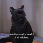 Mighty Salem
