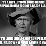 brains | IT'S A FACT...IF SOME FOLKS BRAINS WERE PLACED ON A EDGE OF A RAZOR BLADE... IT'D LOOK LIKE A SHOTGUN PELLET ROLLING DOWN A FOUR LANE HIGHWAY. | image tagged in jed clampett | made w/ Imgflip meme maker