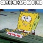 try me hoe | SOMEONE SAYS IM DUMB | image tagged in try me hoe | made w/ Imgflip meme maker