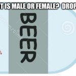 Buoyant | HOW CAN YOU TELL IF AN ANT IS MALE OR FEMALE?  DROP ONE IN A BOTTLE.         

IF IT SINKS, GIRL ANT. IF IT FLOATS... | image tagged in beer ant | made w/ Imgflip meme maker