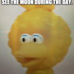 new format. pls make more memes with it. | 7 YEAR OLDS WHEN THEY SEE THE MOON DURING THE DAY. | image tagged in big birb,kids,moon | made w/ Imgflip meme maker