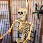 skeleton at desk