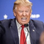 Insane hateful Trump bares teeth meme