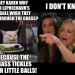 Smudges leprechaun's joke | HEY KAREN WHY DO LEPRECHAUN'S GIGGLE WHEN THEY RUN THROUGH THE GRASS? I DON'T KNOW! BECAUSE THE GRASS TICKLES THEIR LITTLE BALLS! | image tagged in reverse cat at dinner table | made w/ Imgflip meme maker