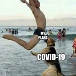 Dog bite dick | MY PLANS COVID-19 | image tagged in dog bite dick | made w/ Imgflip meme maker