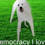 Democracy I Love meme
