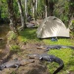 Florida Camping