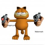 Garfield gun meme