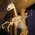[10-31-20] | HEY YOU! YEAH YOU! HAPPY HALLOWEEN! | image tagged in spooky horse and rider skeleton,halloween,happy halloween | made w/ Imgflip meme maker