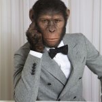 Pimp chimpin