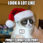 Its beginning to look at lot like... | NO; FORGET IT WHAT'S THE POINT OF CELEBRATING WHEN EVERYONE IS EITHER DEAD OR SICK W/COVID 19 | image tagged in its beginning to look at lot like | made w/ Imgflip meme maker