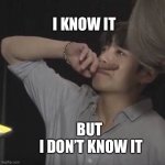 Meme | I KNOW IT; BUT 
I DON’T KNOW IT | image tagged in memes | made w/ Imgflip meme maker