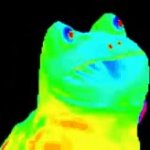 Rainbow frog meme