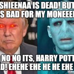 dead | SHIEENAA IS DEAD! BUT THAT IS BAD FOR MY MONEEEEYYYY! NO NO NO ITS, HARRY POTTER IS DEAD! EHEHE EHE HE HE EHE EH HE! | image tagged in voldemort and danold | made w/ Imgflip meme maker