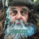 Radagast Indeed meme