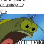 YOU WHAT! | ME: THAT'S A CUTE GIRL; ANIME: IT'S A BOY; ME: | image tagged in you what | made w/ Imgflip meme maker