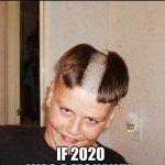 Moshit | IF 2020 WAS A MOHAWK | image tagged in the 2020 | made w/ Imgflip meme maker