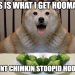 FAT DOGGO EATING BROCCOLI | THIS IS WHAT I GET HOOMAN?! I WANT CHIMKIN STOOPID HOOMAN | image tagged in fat doggo eating broccoli | made w/ Imgflip meme maker