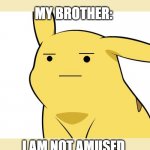 Pikachu Is Not Amused | ME MAKES A GOOD HISTORY MEME THAT MY BROTHER DOES NOT UNDERSTAND; MY BROTHER:; I AM NOT AMUSED | image tagged in pikachu is not amused | made w/ Imgflip meme maker