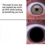 the pupil of your eye can expand meme