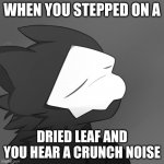 Puro satsified | WHEN YOU STEPPED ON A; DRIED LEAF AND YOU HEAR A CRUNCH NOISE | image tagged in puro satsified | made w/ Imgflip meme maker