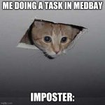Ceiling Cat Meme | ME DOING A TASK IN MEDBAY; IMPOSTER: | image tagged in memes,ceiling cat | made w/ Imgflip meme maker