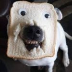 food | WHEN YOUR SAND WICH LOOKS FUNNY; HELLO | image tagged in food | made w/ Imgflip meme maker