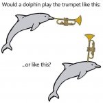 Would a dolphin play the trumpet like this meme