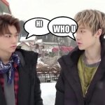 bang chan met a stranger | WHO U; HI | image tagged in bang chan and felix being the aussie line | made w/ Imgflip meme maker