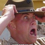 Marine Drill Sergeant  | TELL ME YOU DIDN'T; JUST SHIT ON MY BELOVED MARINE CORPS BIRTHDAY | image tagged in marine drill sergeant | made w/ Imgflip meme maker