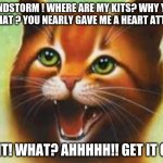 Warrior cats Firestar | SANDSTORM ! WHERE ARE MY KITS? WHY YOU DO THAT ? YOU NEARLY GAVE ME A HEART ATTACK! WAIT! WHAT? AHHHHH!! GET IT OFF ! | image tagged in warrior cats firestar | made w/ Imgflip meme maker