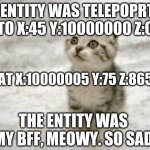 Sad Cat | AN ENTITY WAS TELEPOPRTED TO X:45 Y:10000000 Z:0 I'M AT X:10000005 Y:75 Z:86555 THE ENTITY WAS MY BFF, MEOWY. SO SAD | image tagged in memes,sad cat | made w/ Imgflip meme maker