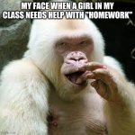 lol | MY FACE WHEN A GIRL IN MY CLASS NEEDS HELP WITH "HOMEWORK" | image tagged in vanilla gorilla | made w/ Imgflip meme maker