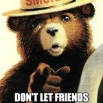 No xmas lights! | ONLY YOU CAN PREVENT PRE CELEBRATING! DON'T LET FRIENDS HANG CHRISTMAS LIGHTS BEFORE DEC. 1ST! | image tagged in smokey the bear | made w/ Imgflip meme maker