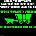 Oh Oregon....you believed the biased hype! Hahahahaha! | OREGON, THE STATE WHERE DANGEROUS DRUG USE IS OK, BUT PUMPING YOUR OWN GAS IS A NO-NO; YOU DIED FROM A METH OVERDOSE; BUT AT LEAST YOU DIDN'T BREAK THE LAW | image tagged in oregon trail,drugs,vote | made w/ Imgflip meme maker